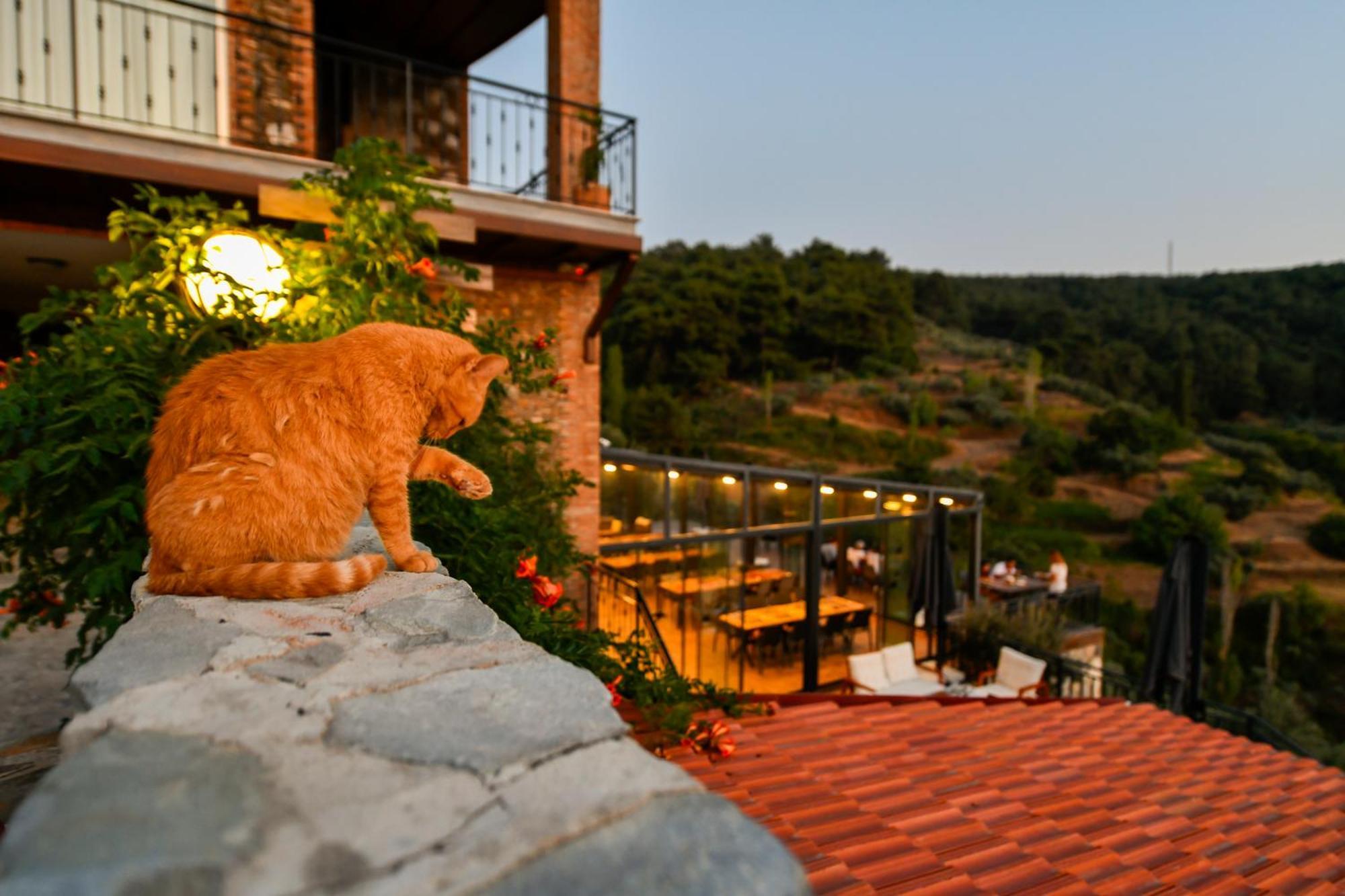 Ephesus Retreat Hotel Izmir Exterior photo