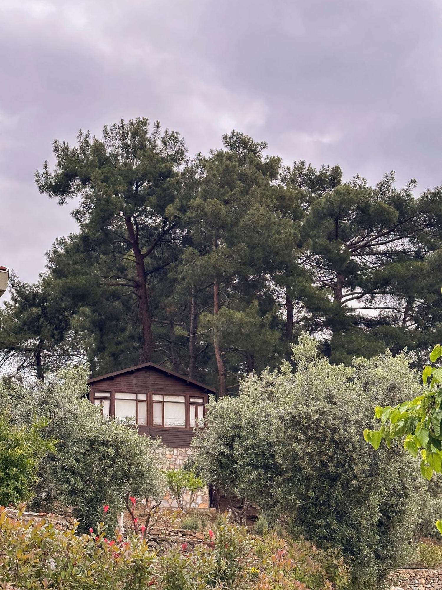Ephesus Retreat Hotel Izmir Exterior photo